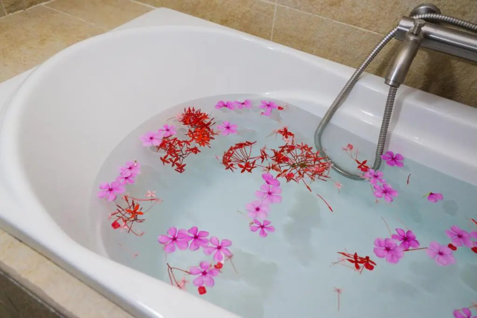 Отель Palm Residence