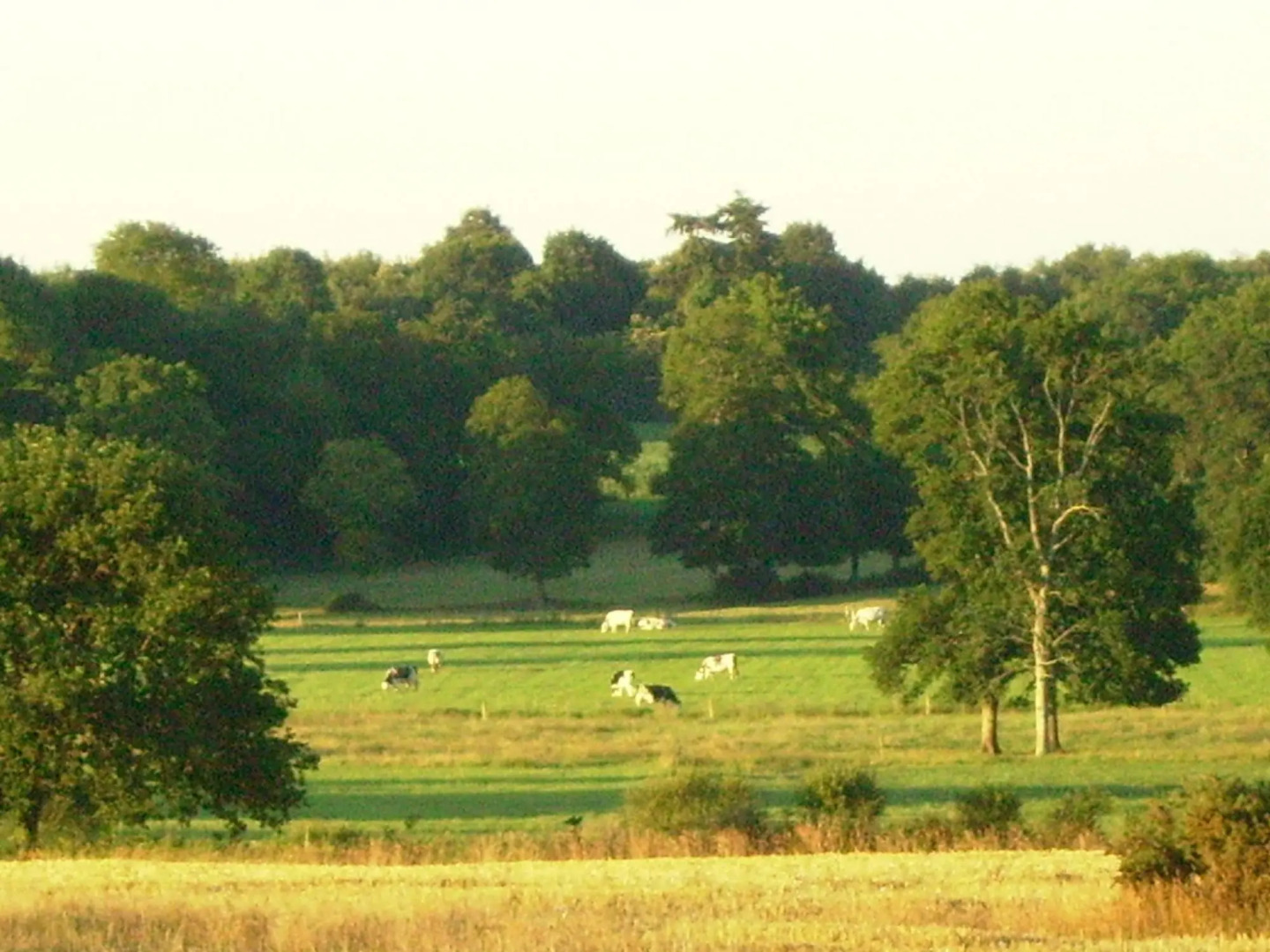 Nice Property on one of the Most Beautiful Places in Bretagne