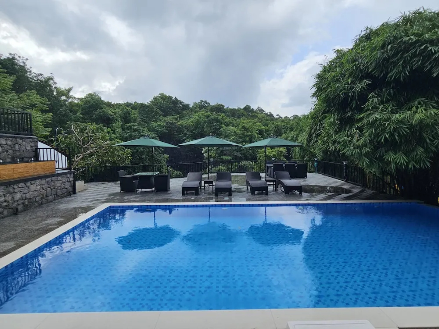 Athirapilly Green Trees