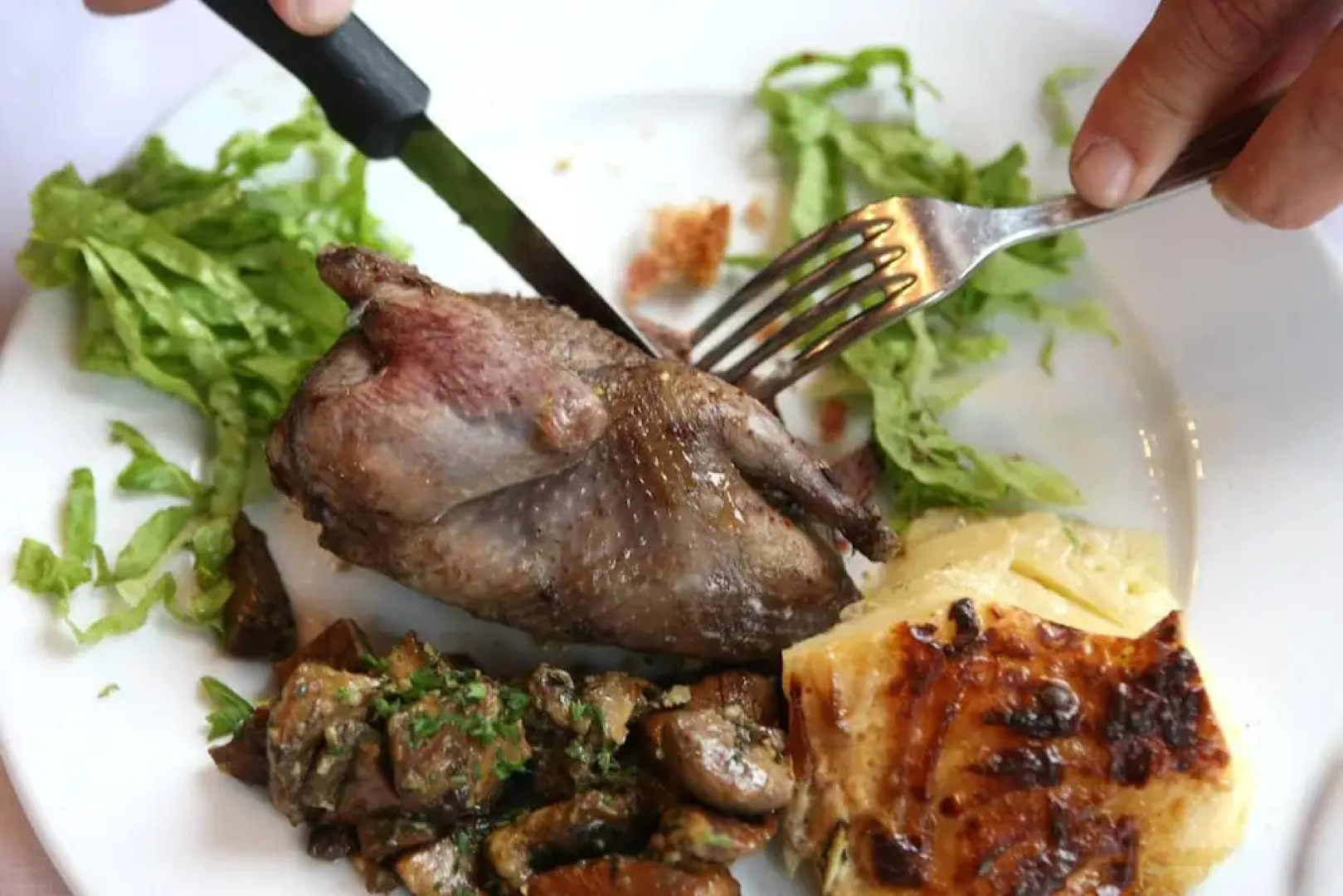 Hôtel et Restaurant du Col Osquich