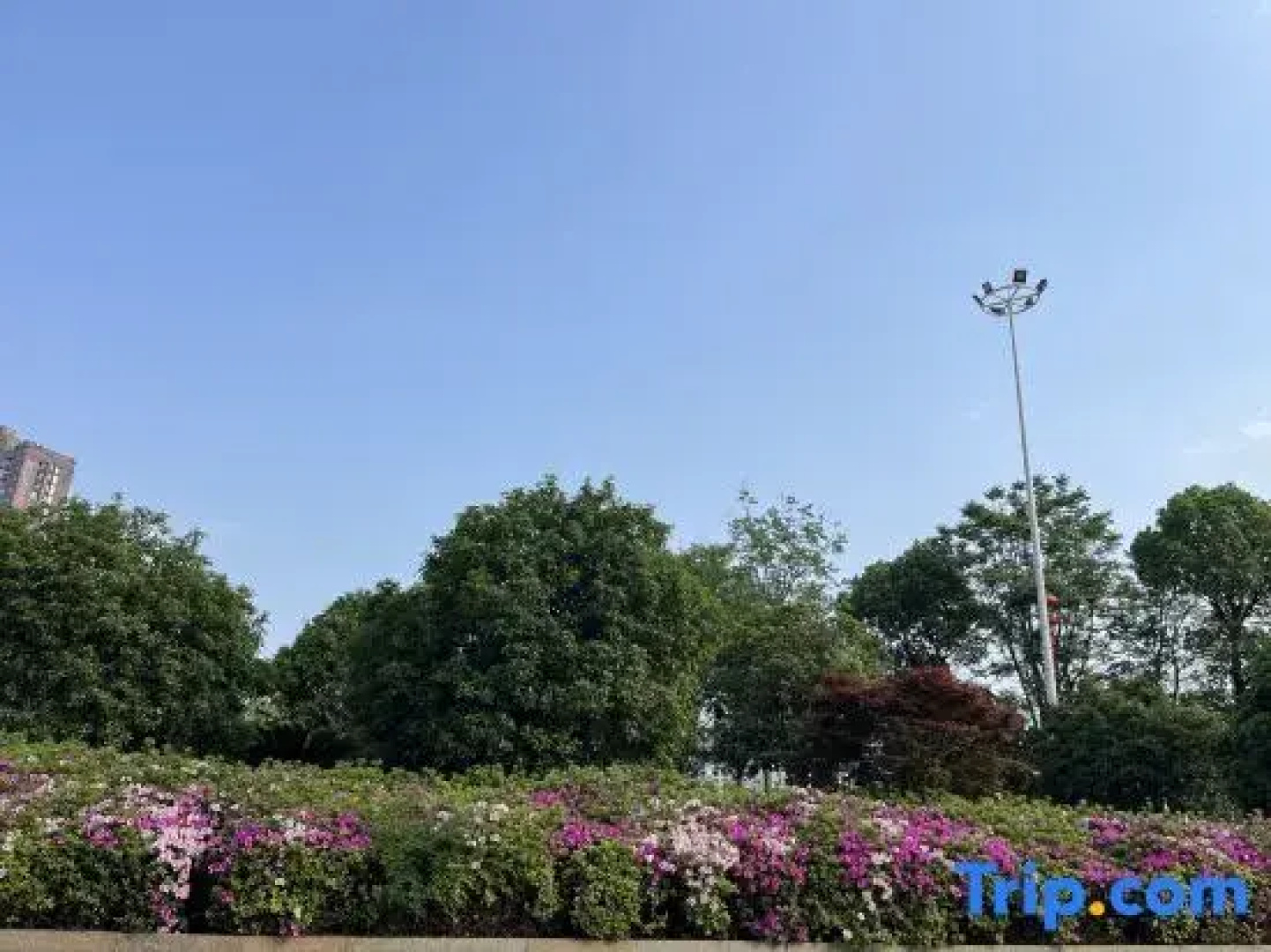 Yipin International Hotel (County Government Affairs Center)