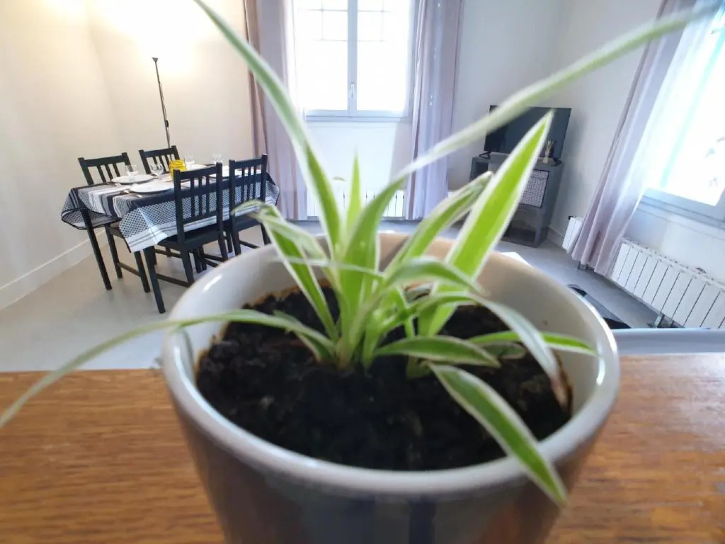 Au 36, Les Apparts Hotel Joigny