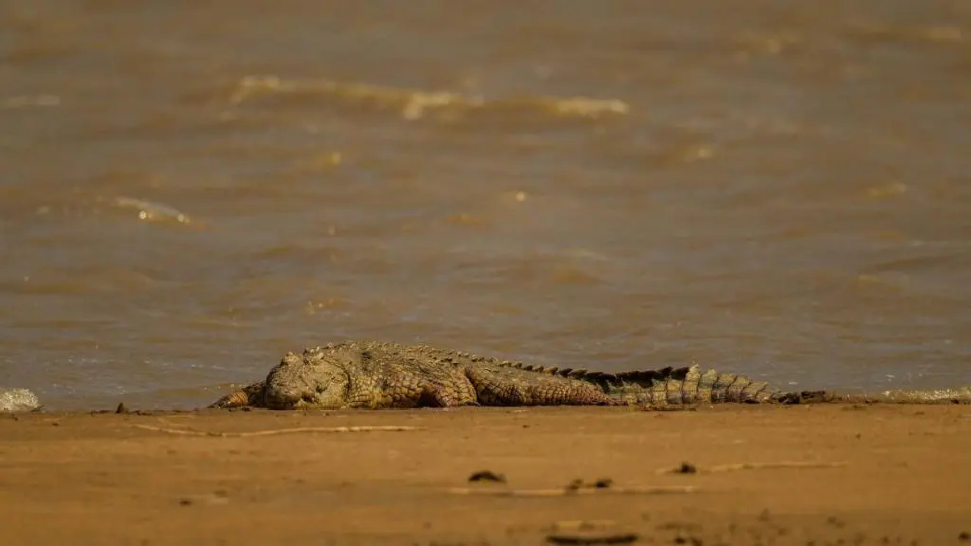 Kwalucia Private Safari Retreat