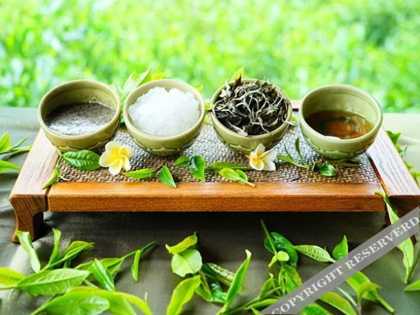 Jingmai Bolian Resorts & SPA