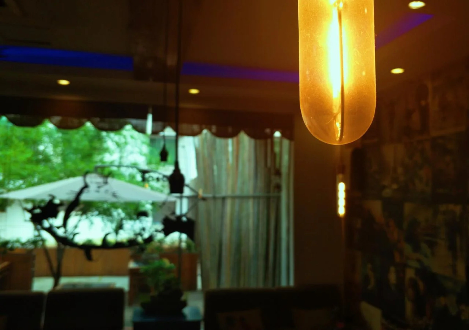 Cather Of The Light Youth Hostel