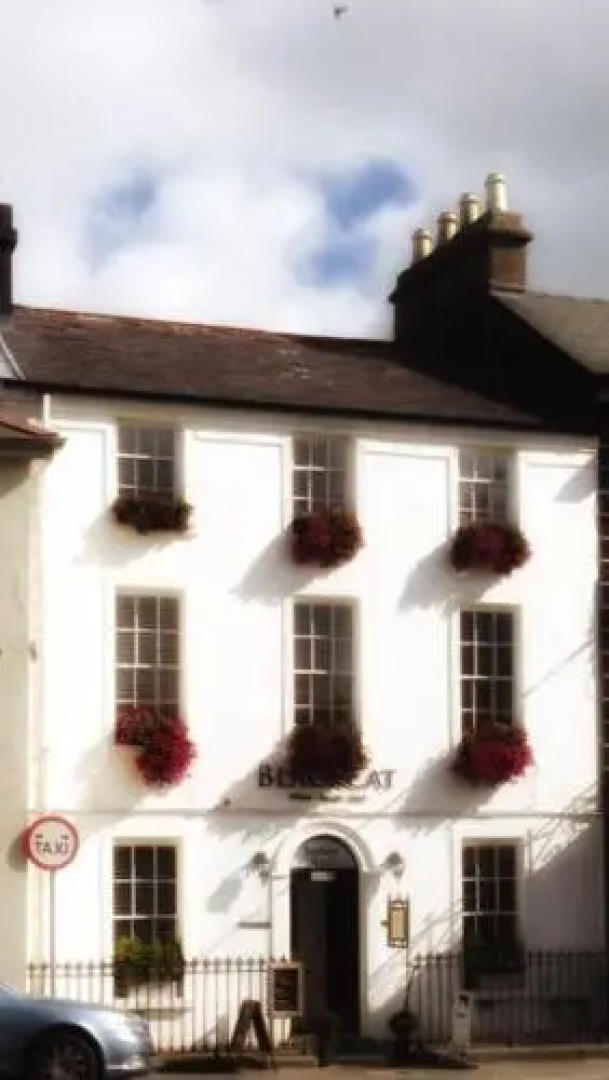 Blackcat (Adults only)