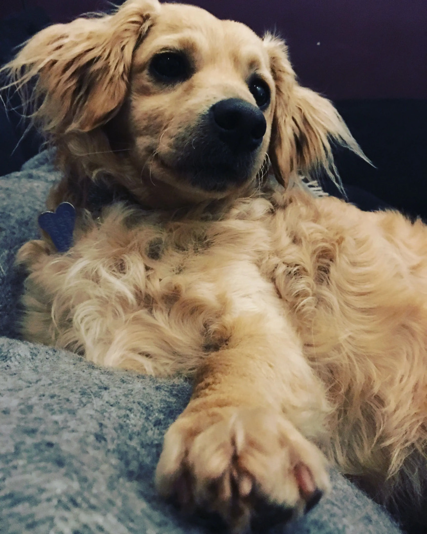 Union Road Moto Velo