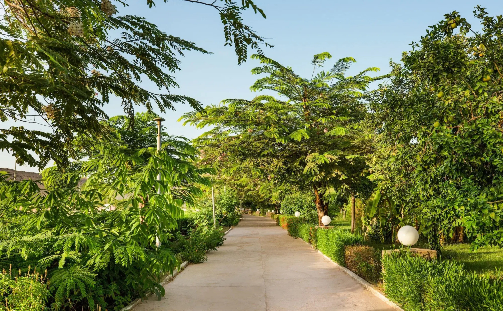 Pyramisa Island Hotel Aswan