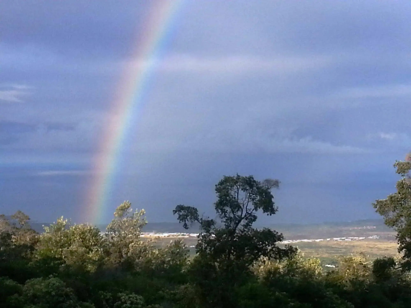 Mango Sunset Bed and Breakfast