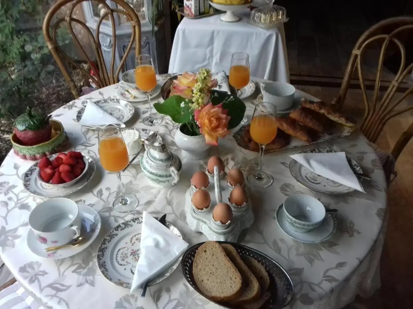 Angelina et ses animaux