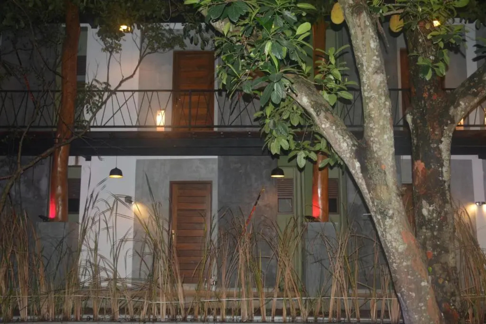 Royal Tusker Udawalawa