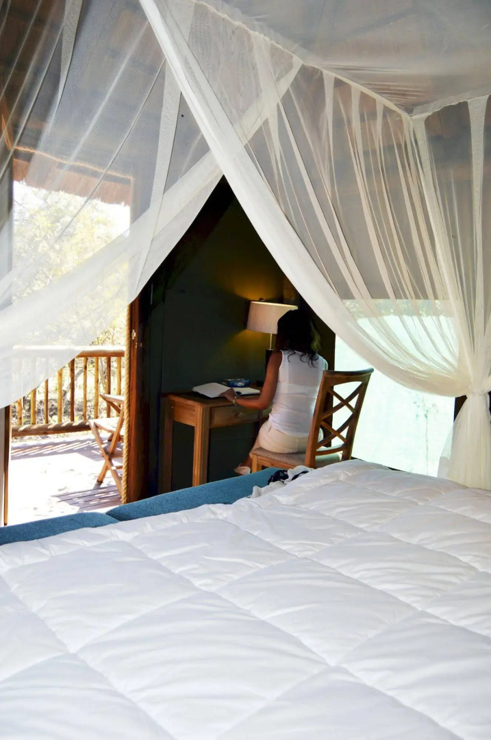 Honeyguide Ranger Camp