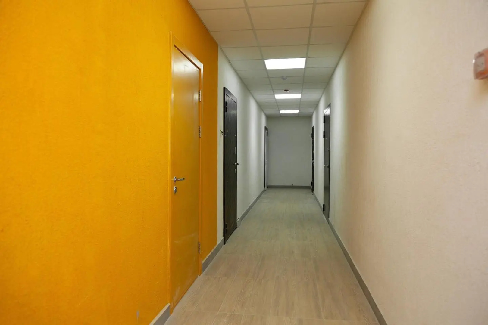 Санди на улице Сколковская 5А