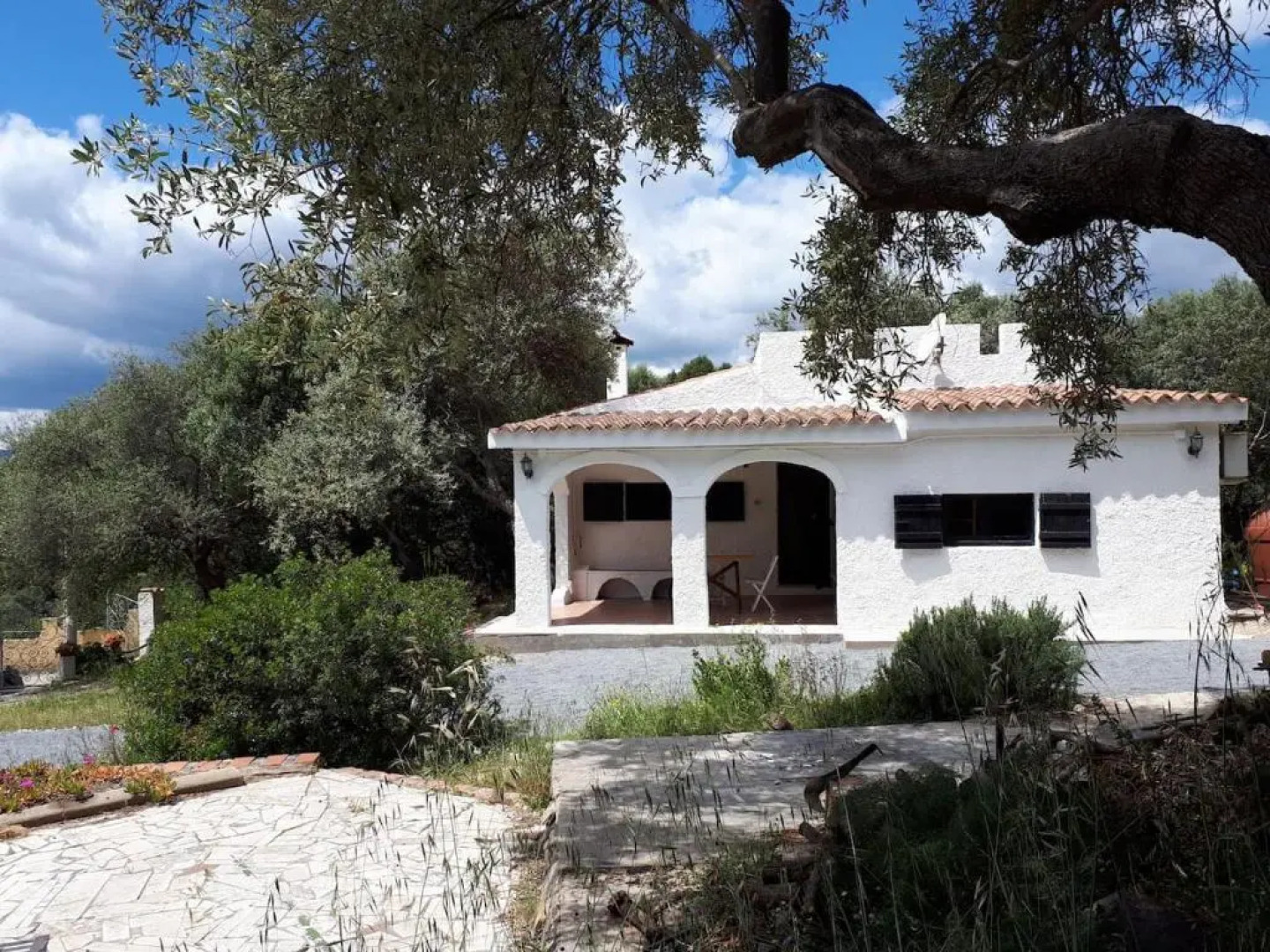 Lilly - Lovely small Villa among Olive Trees