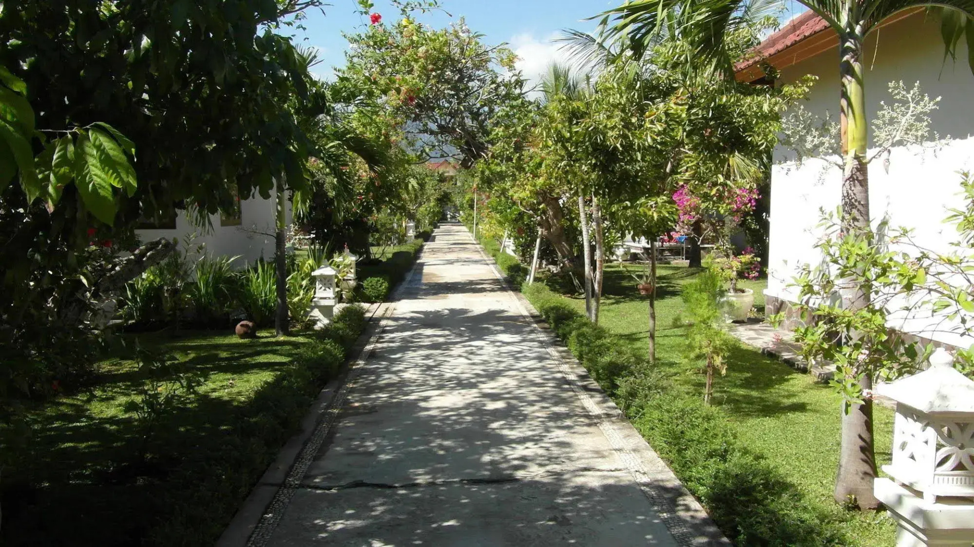 Starlight Hotel Lovina