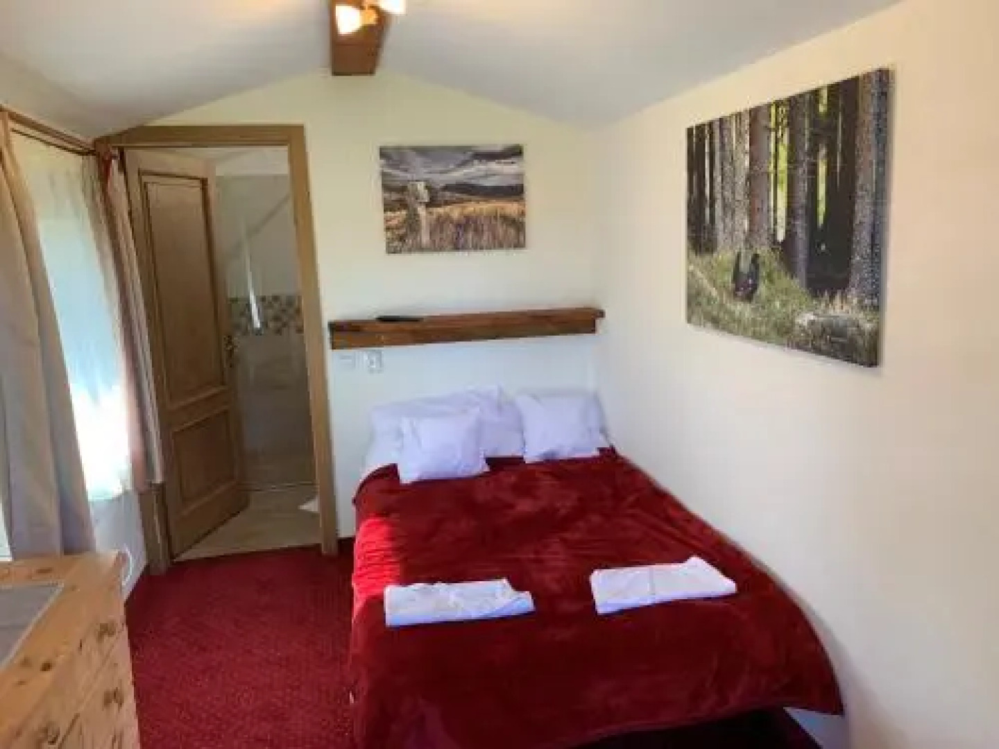 Pensiunea Alpin Belis