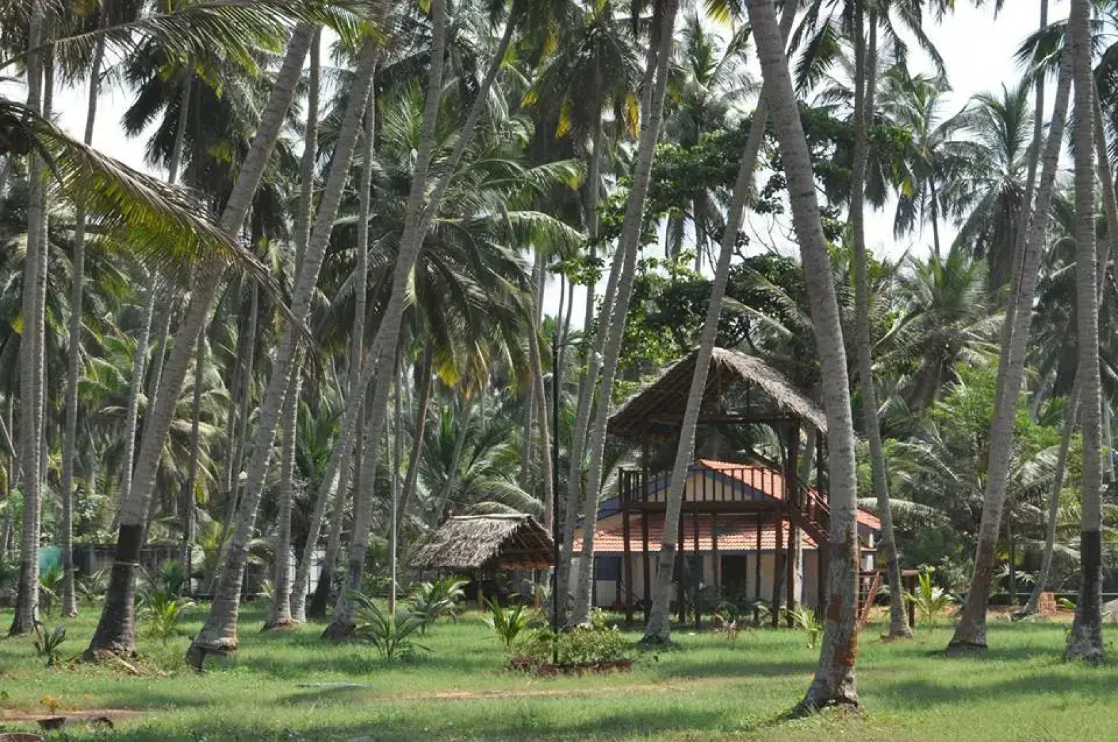 Blue and Green Resort