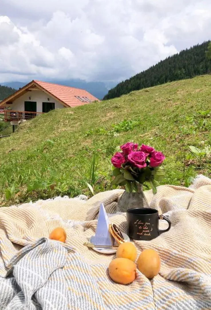 Casa de sub Munte Fundata2