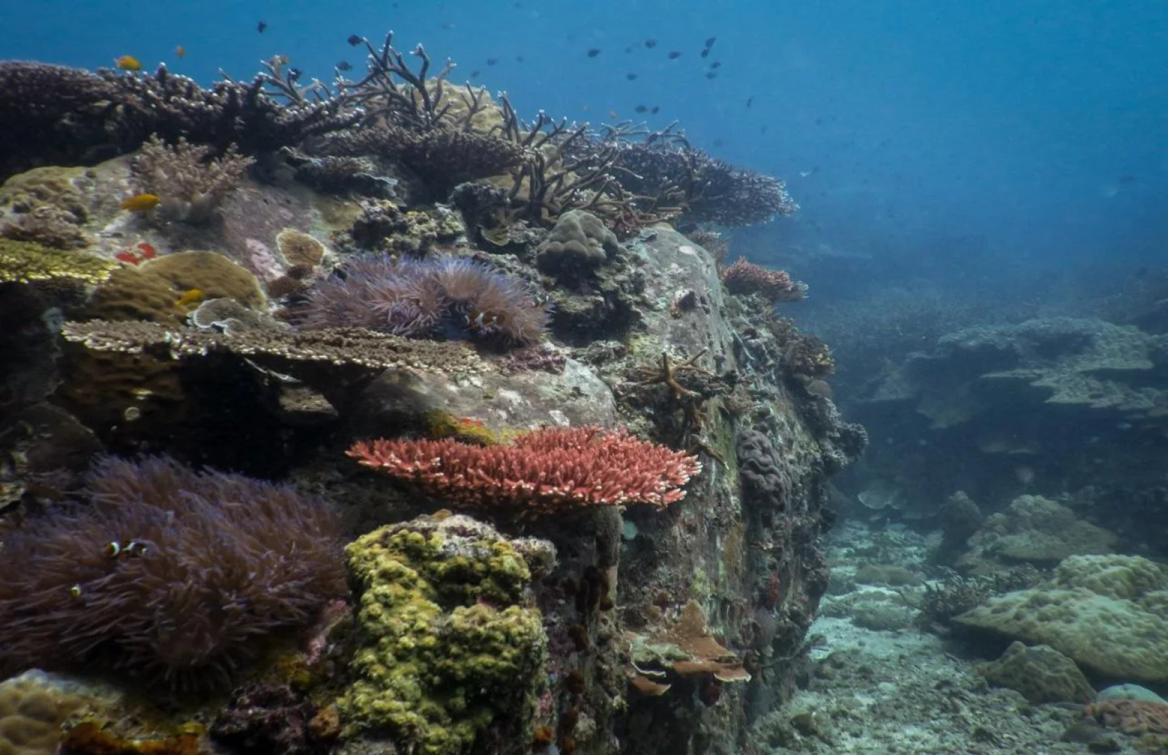 Aman Tioman Beach Resort