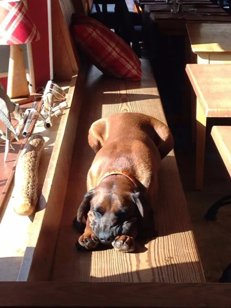 The Old Byre Knoydart