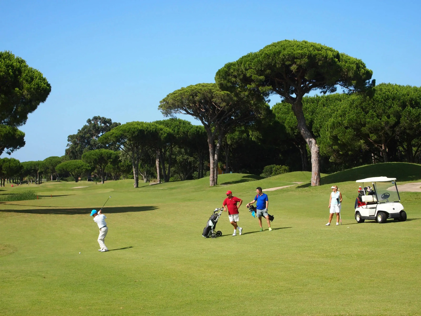 Aparthotel ILUNION Sancti Petri