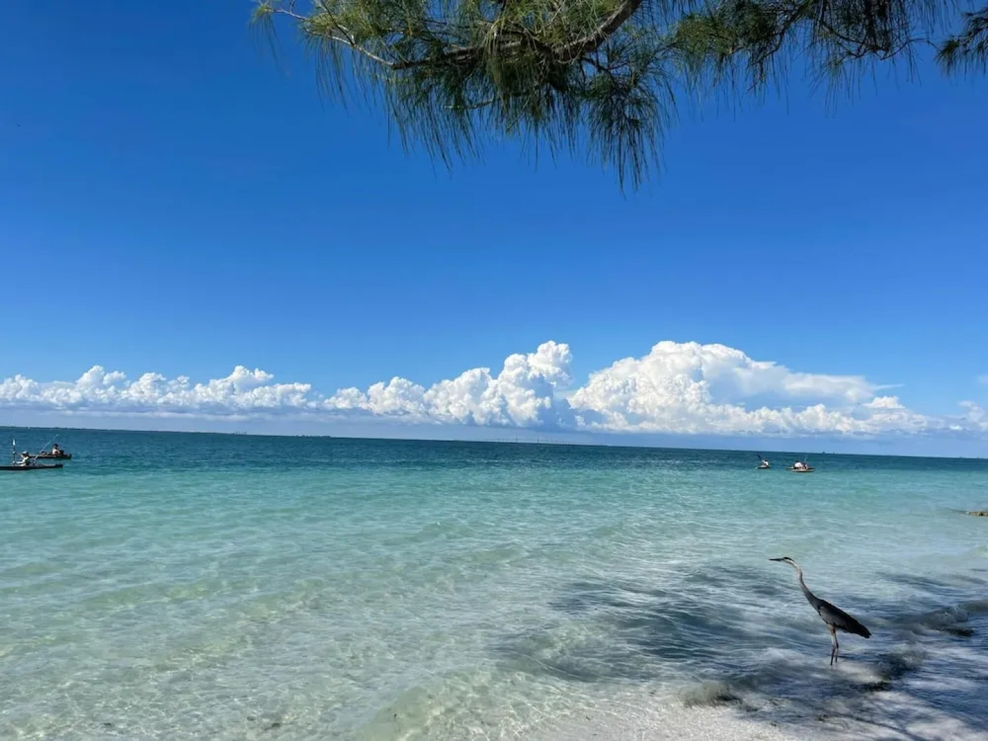 Anna Maria Beach Serenity