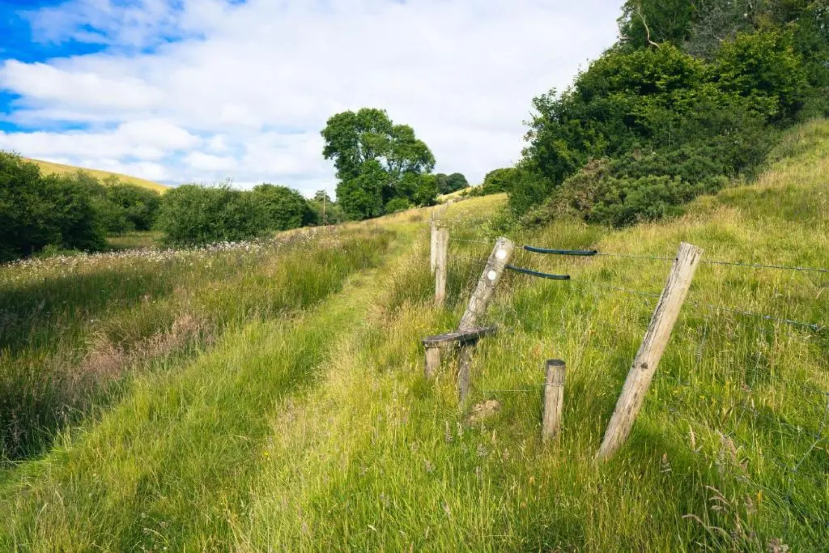 Ta Mill Cottages & Lodges - Meadowview Chalet 1