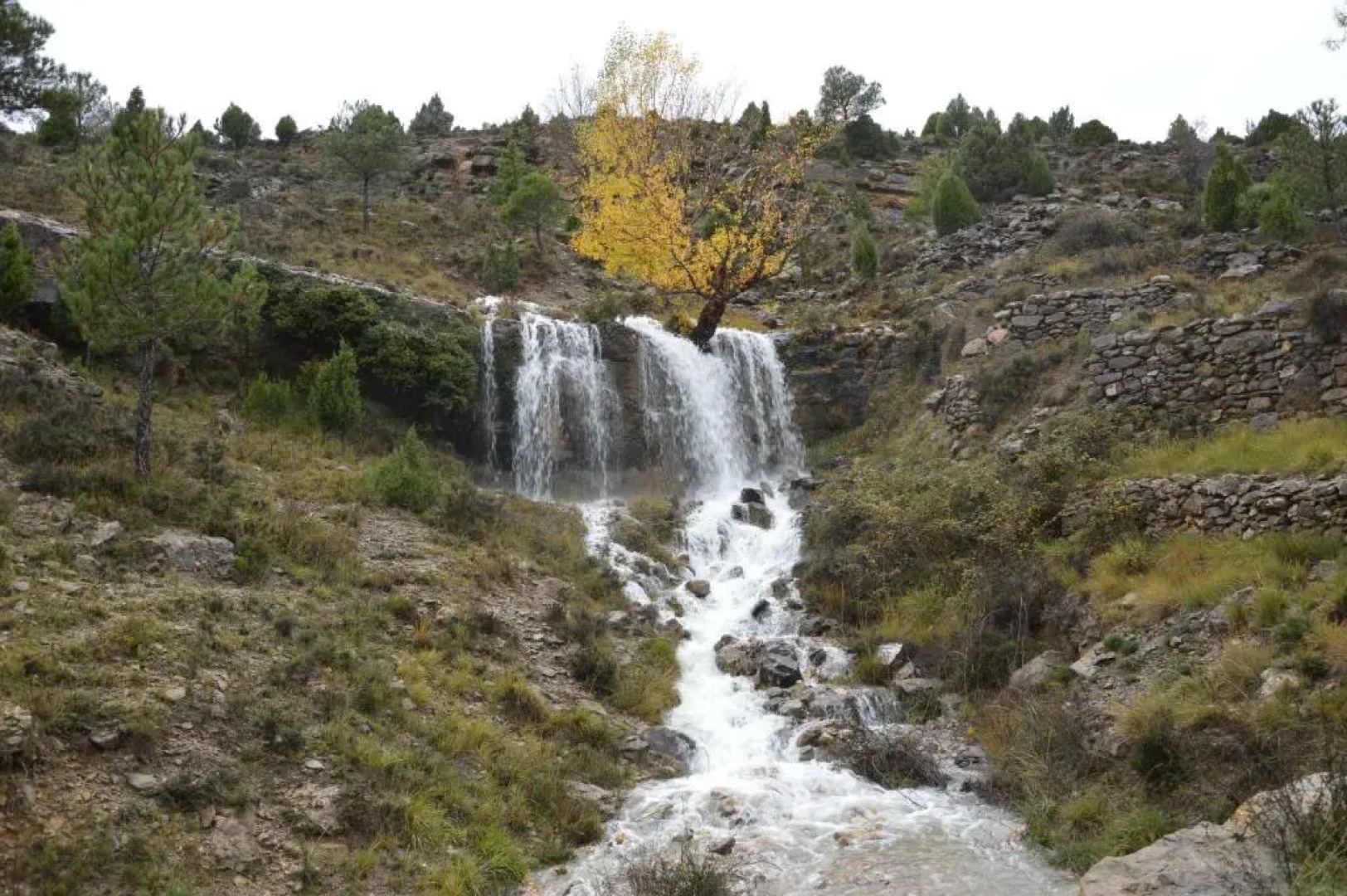 Hostal La Casa Grande