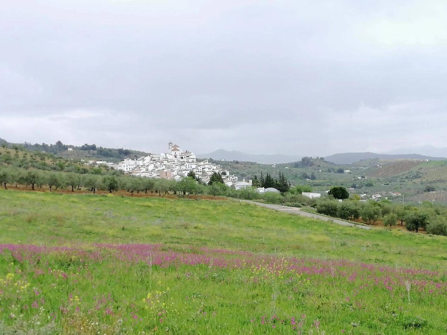 Casa Proyecto Pepe Bravo - Arte de manos y corazón