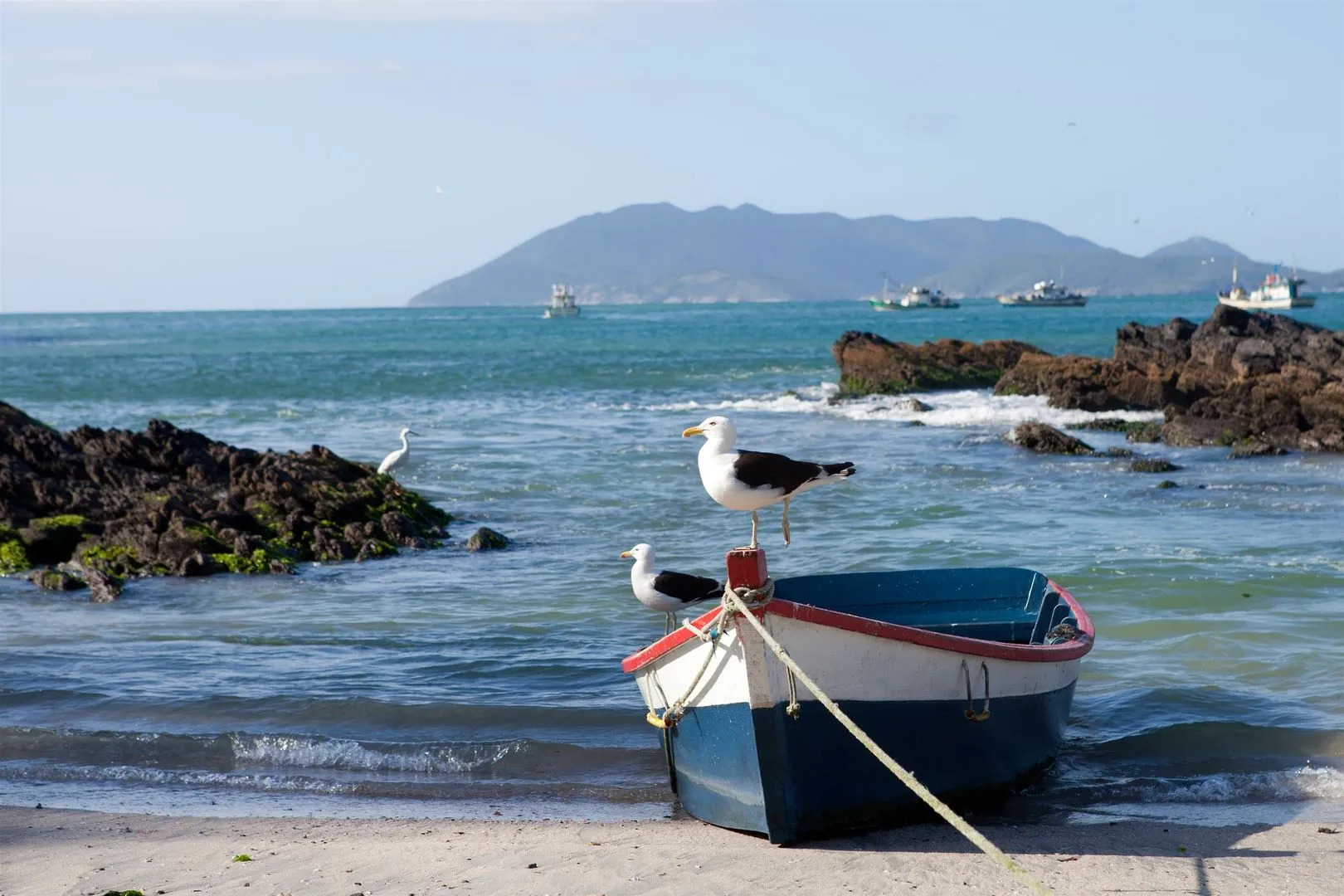 Oásis Cabo Frio Hotel