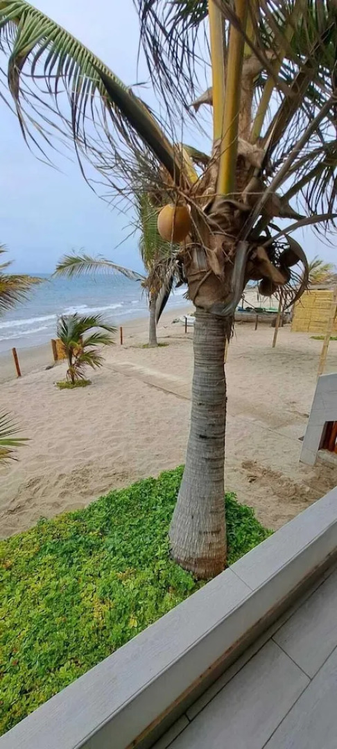 Las Fragatas de Punta Mero