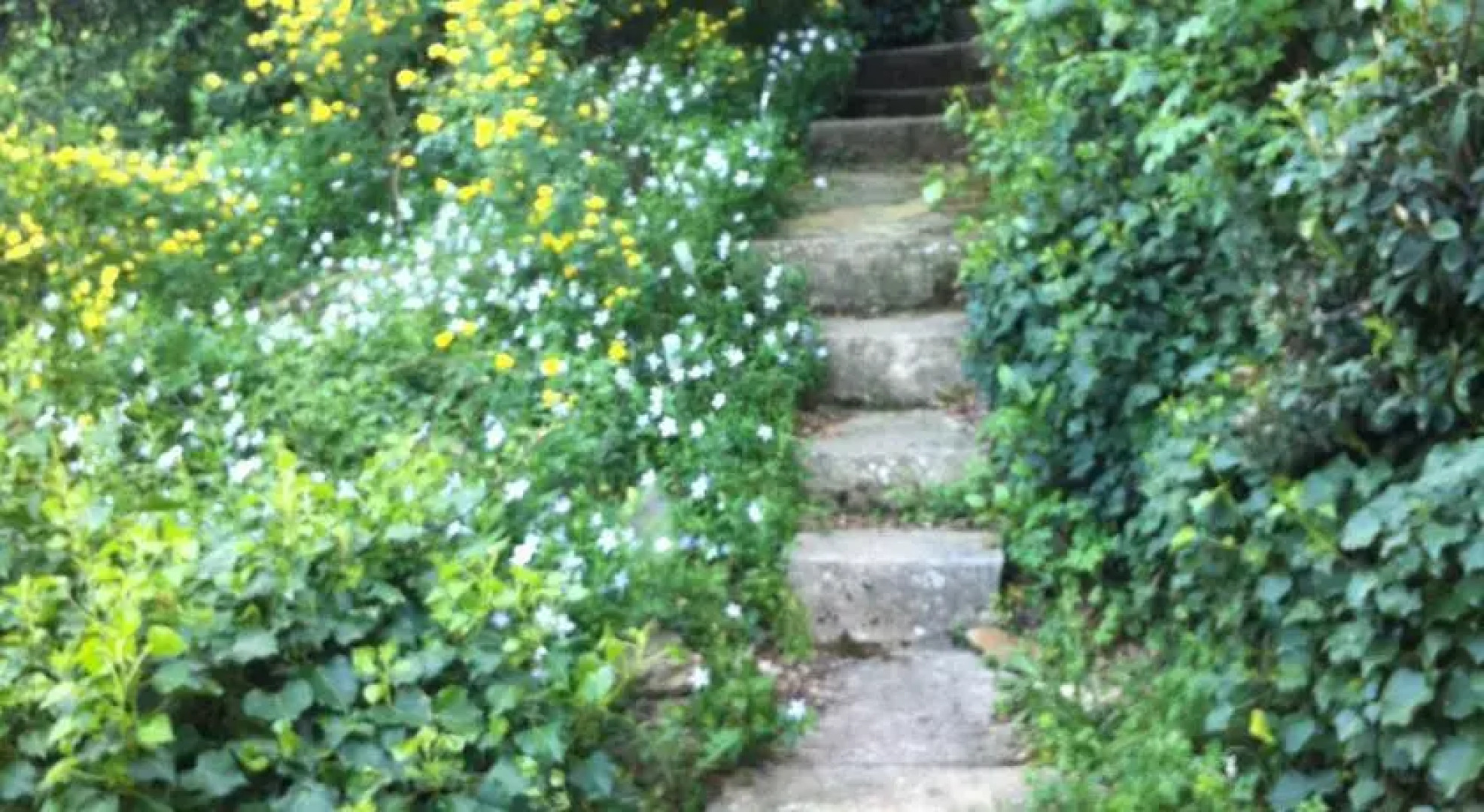 Domaine des hauts de sauvebonne