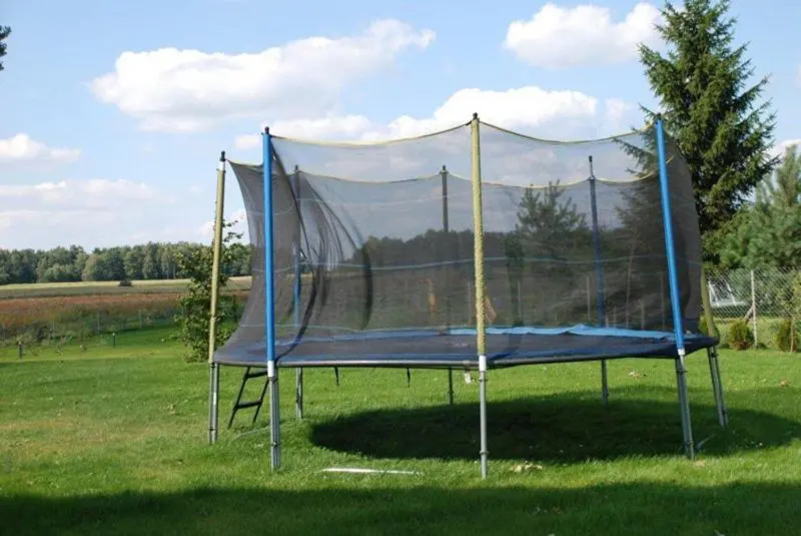 Stara Szkoła Browina