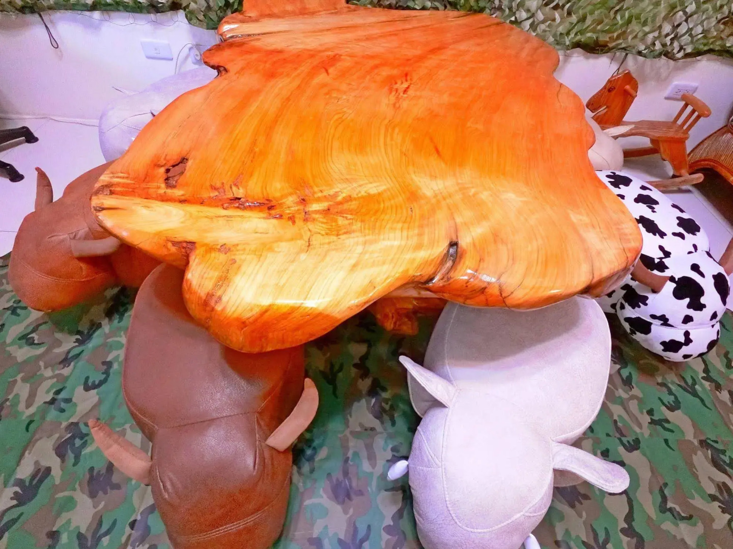 Sleeping Bag Boar Backpacker