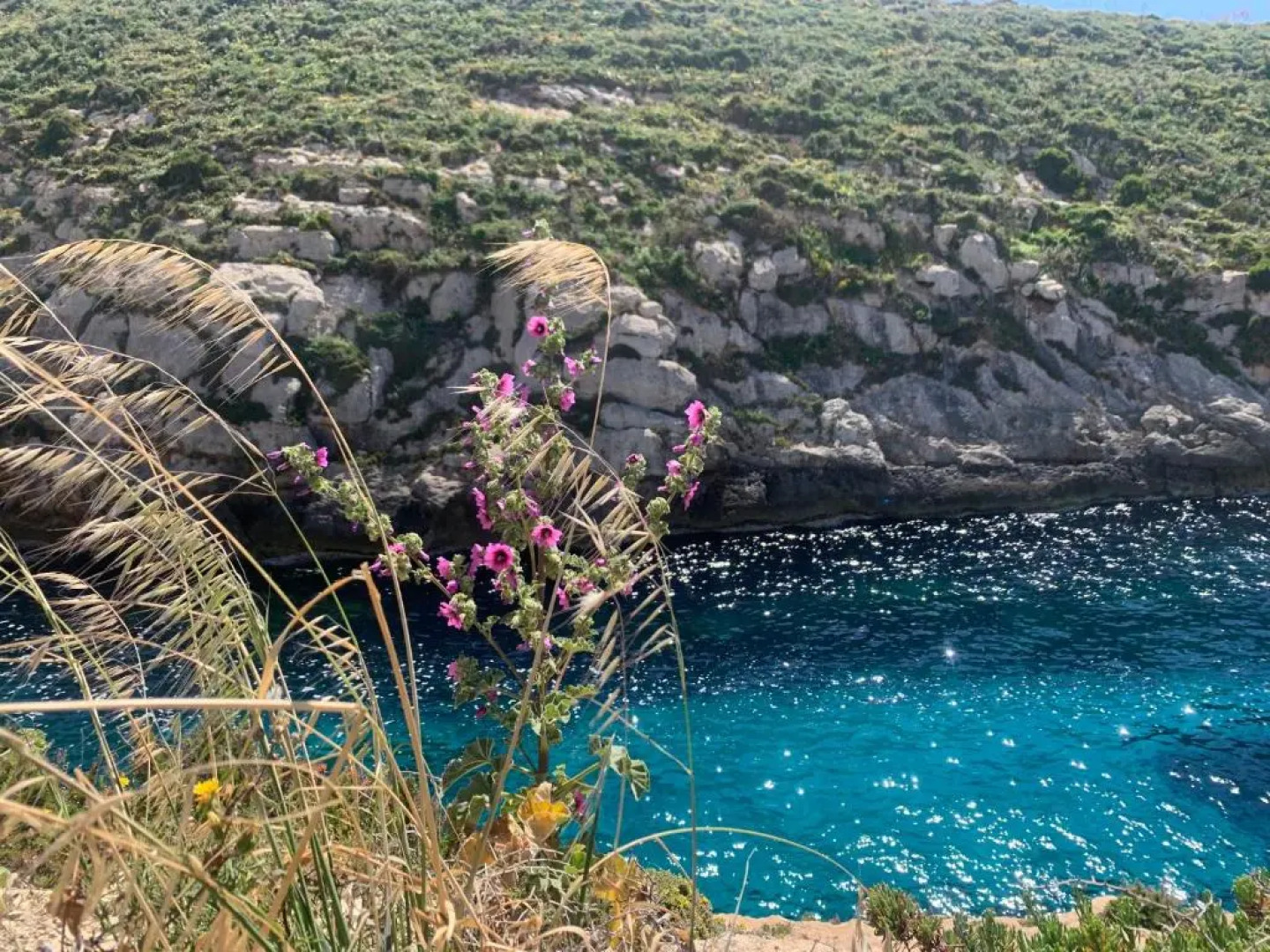 Private bedroom with balcony in a shared apartment at the Bay of Xlendi