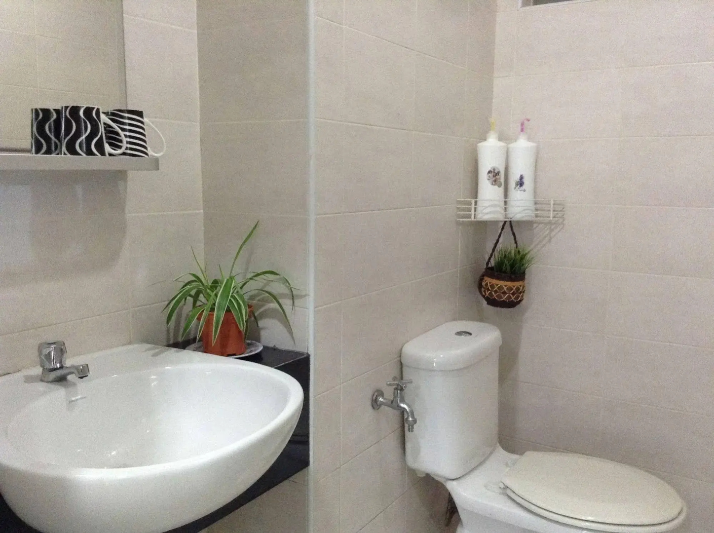 A&F Tropics Homestay