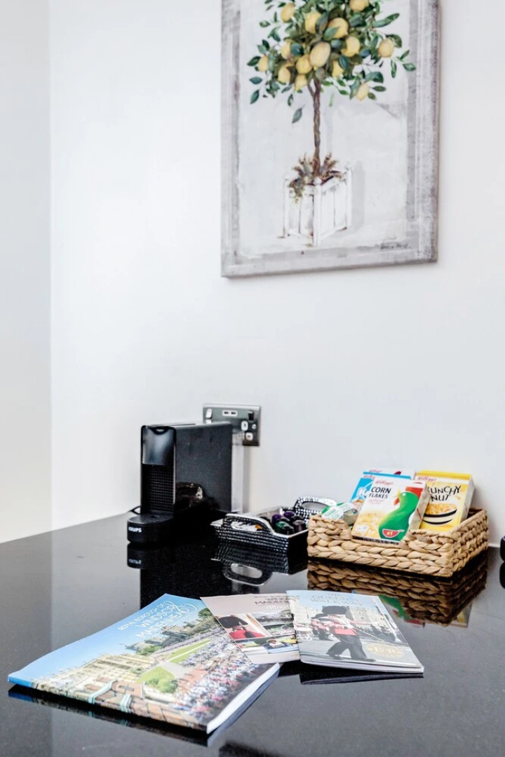 Large Windsor Apartment Free Parking Single or King Beds