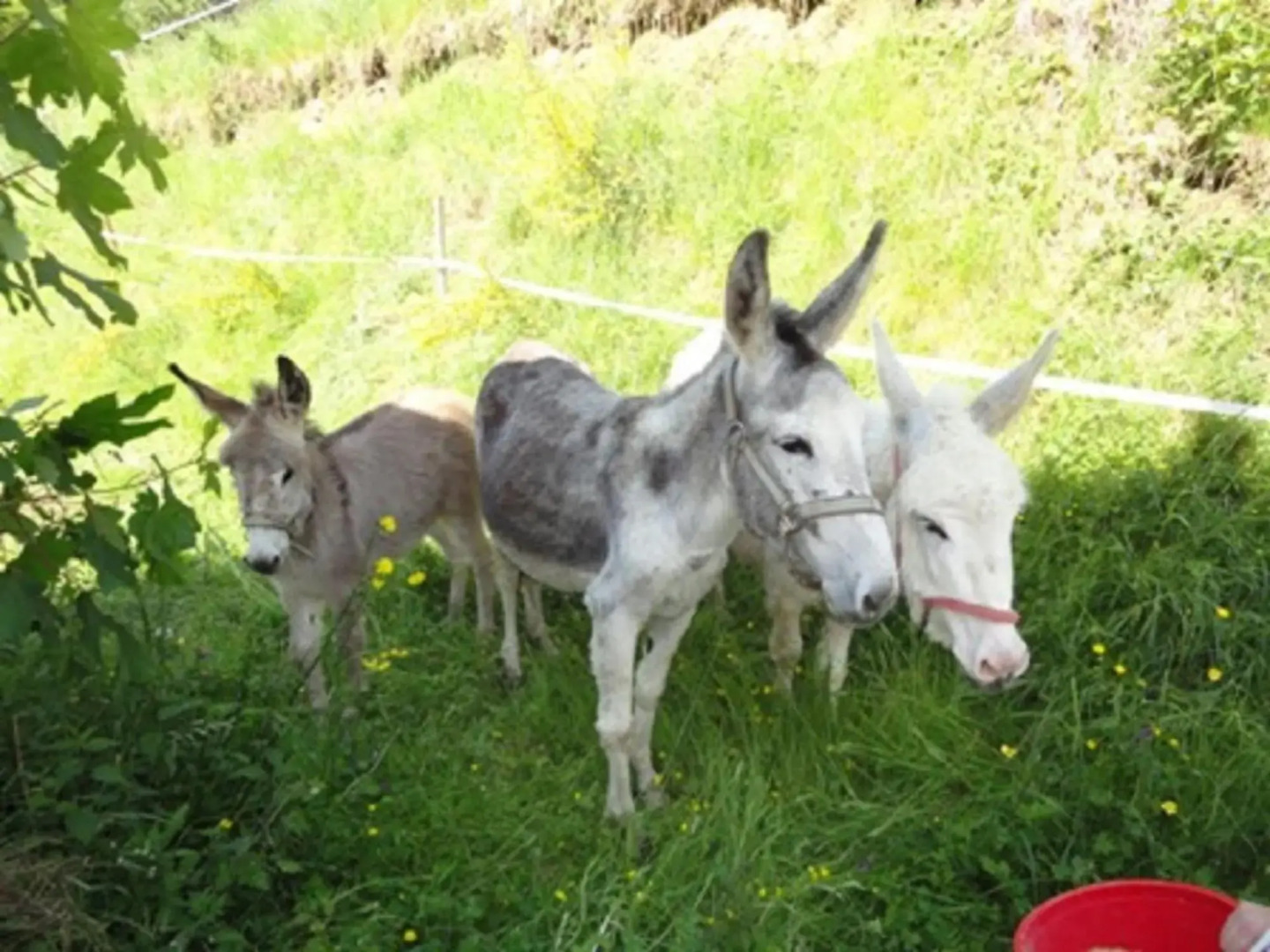 Urlaub im Herrenholz