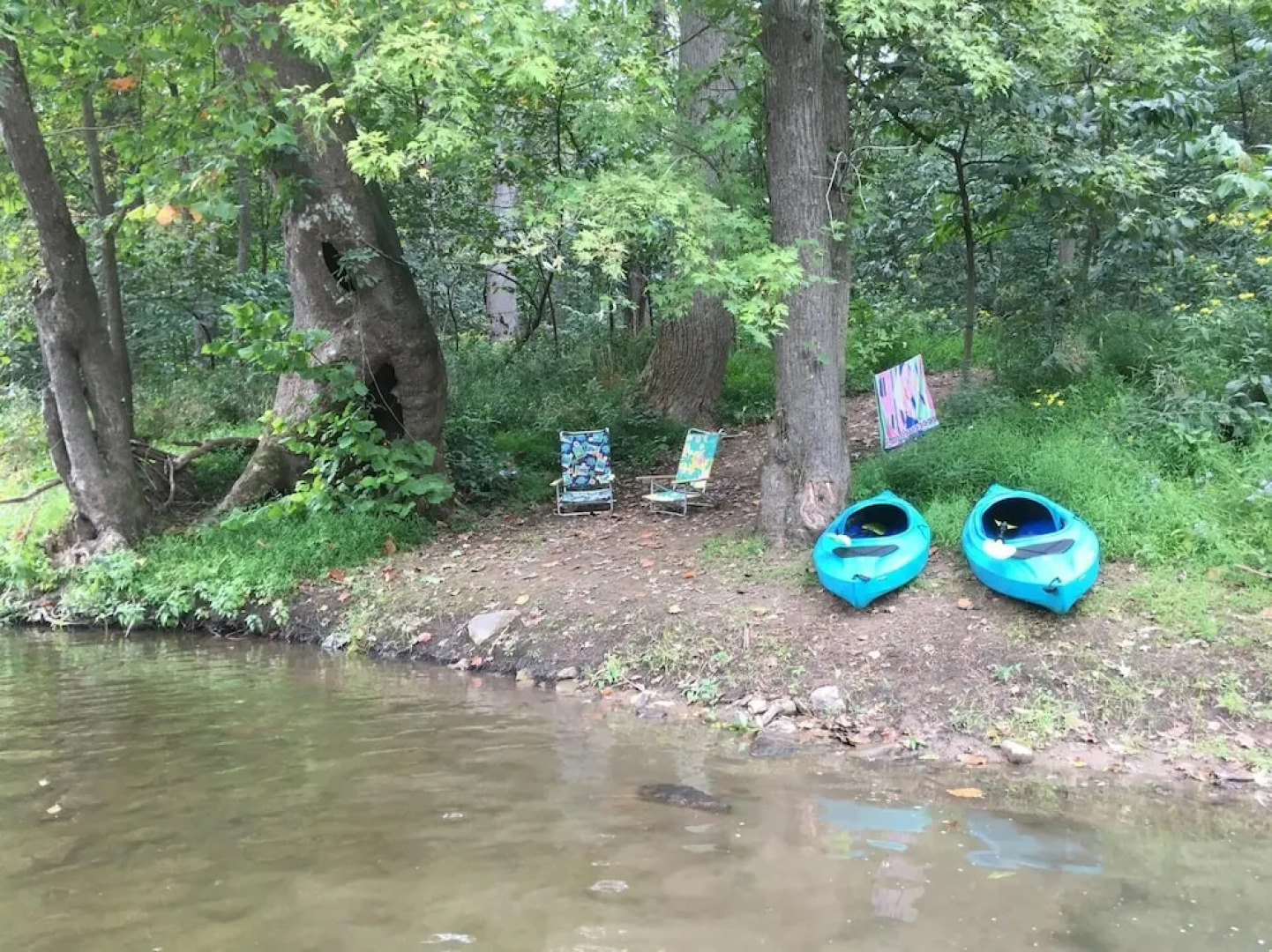 Chesnutt Cabin on the Cacapon River