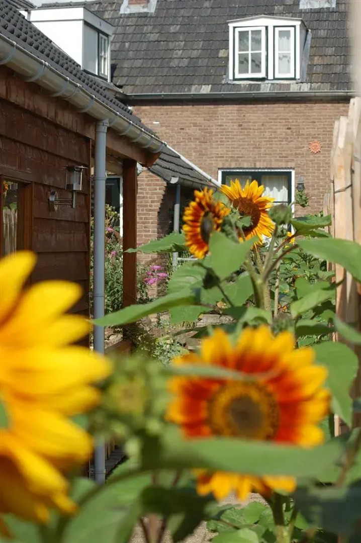 Bed & Breakfast Slaap