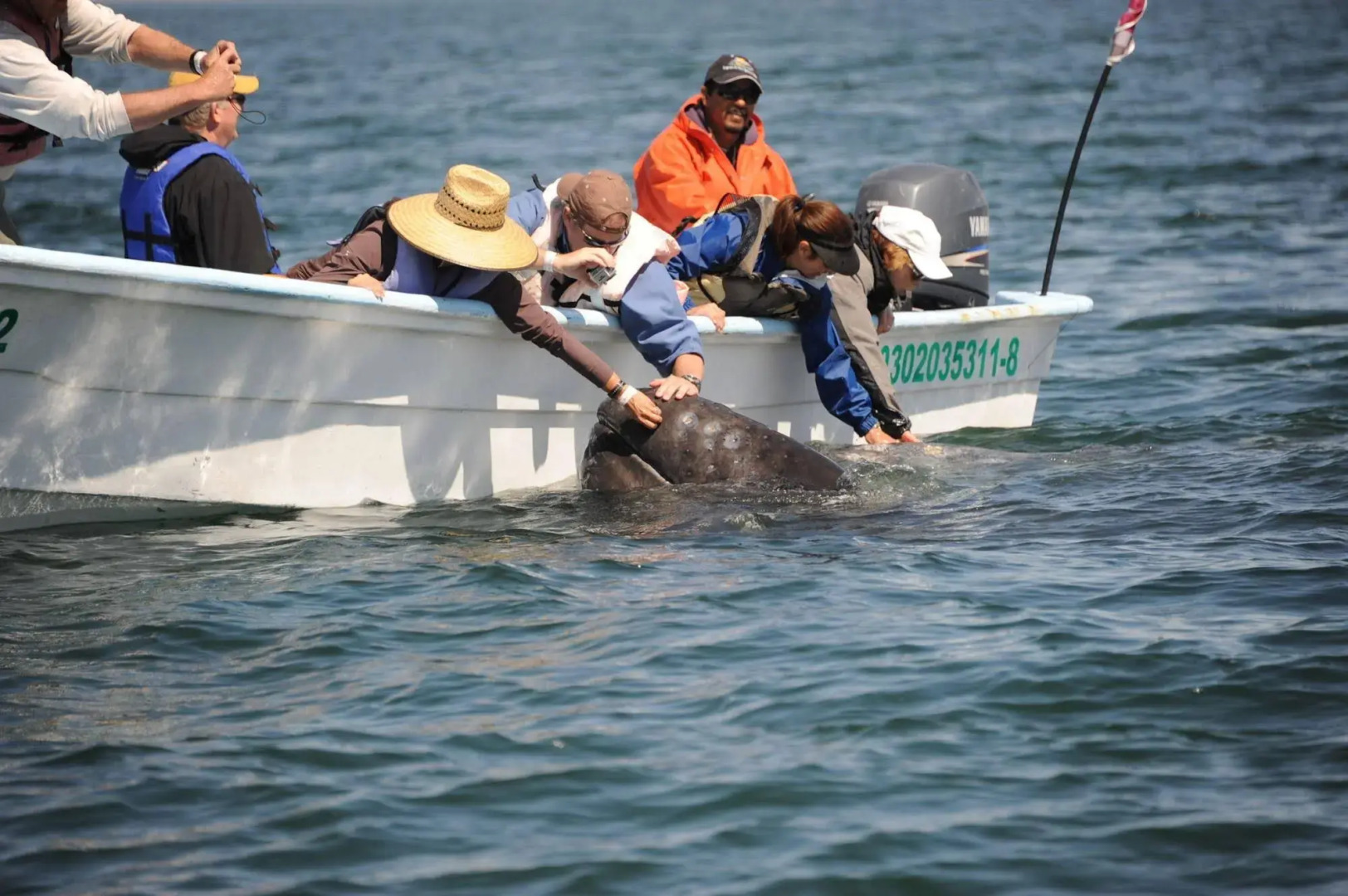 Santa Fe Luxury Residences