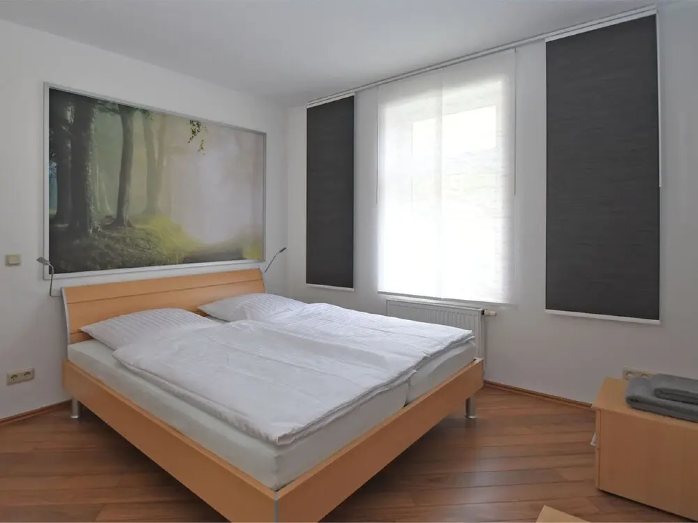 Large Apartment in the Harz With Private Entrance, Fireplace, Garden and Roof Terrace