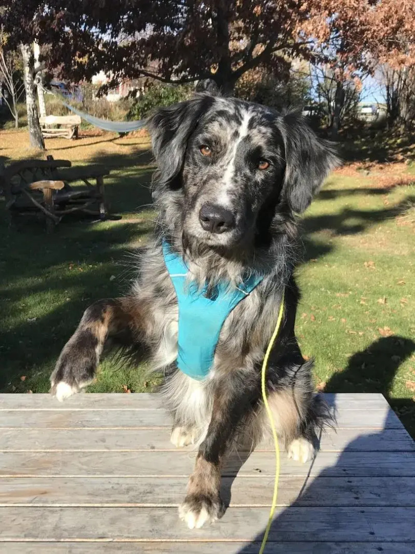 Tailor Made Tekapo - Hostel