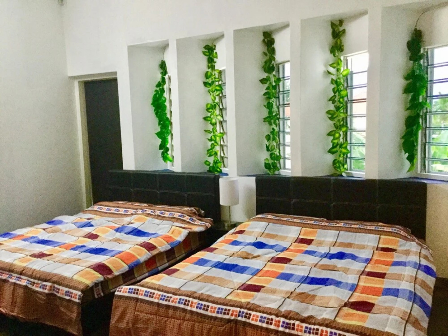 Sea Lion by the Beach