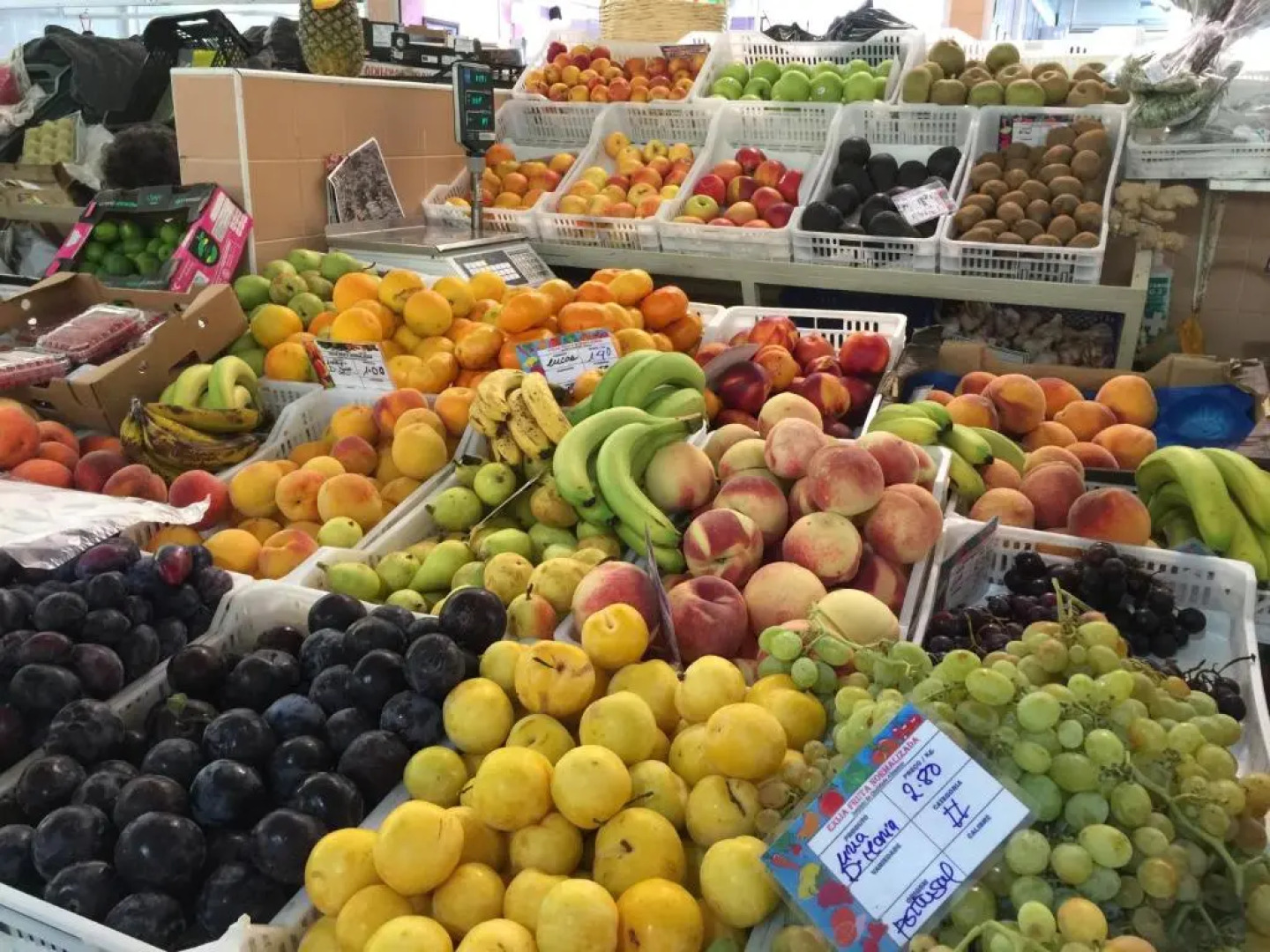 Villa Vista Mar Piscina Suites