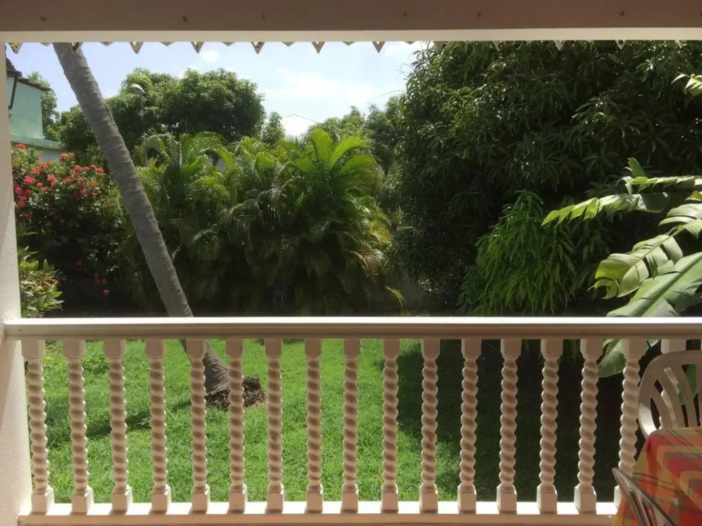 T2 tropical en bord de piscine à 100m de la mer