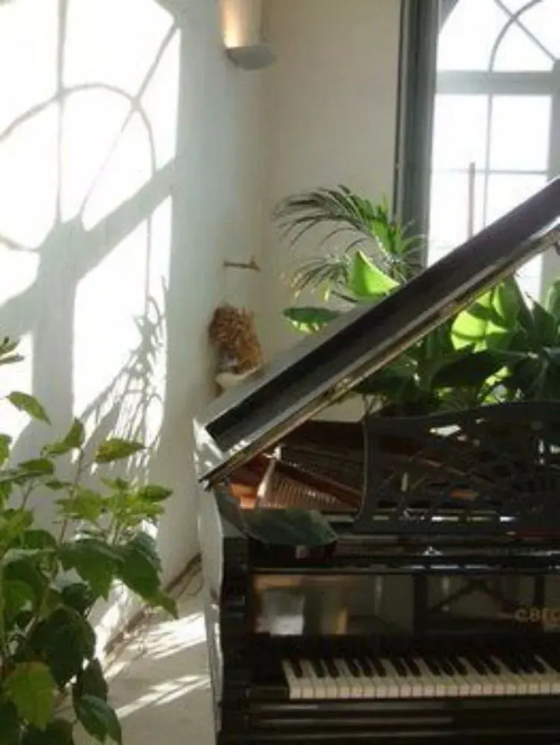 Château de Bois-Briand