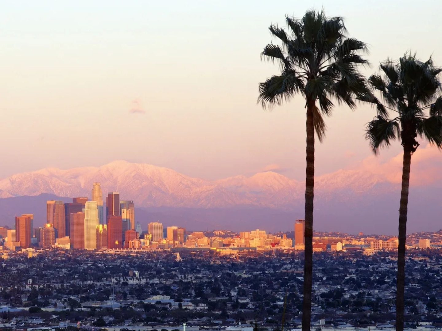 Bright 3BR Main Street El Segundo by RedAwning