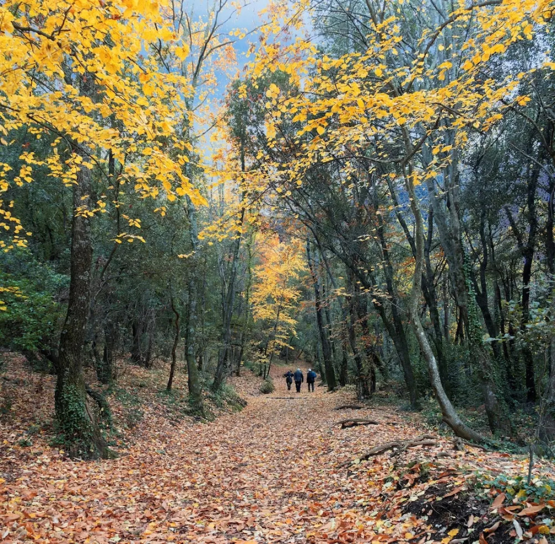 Rincón de piedra BCN