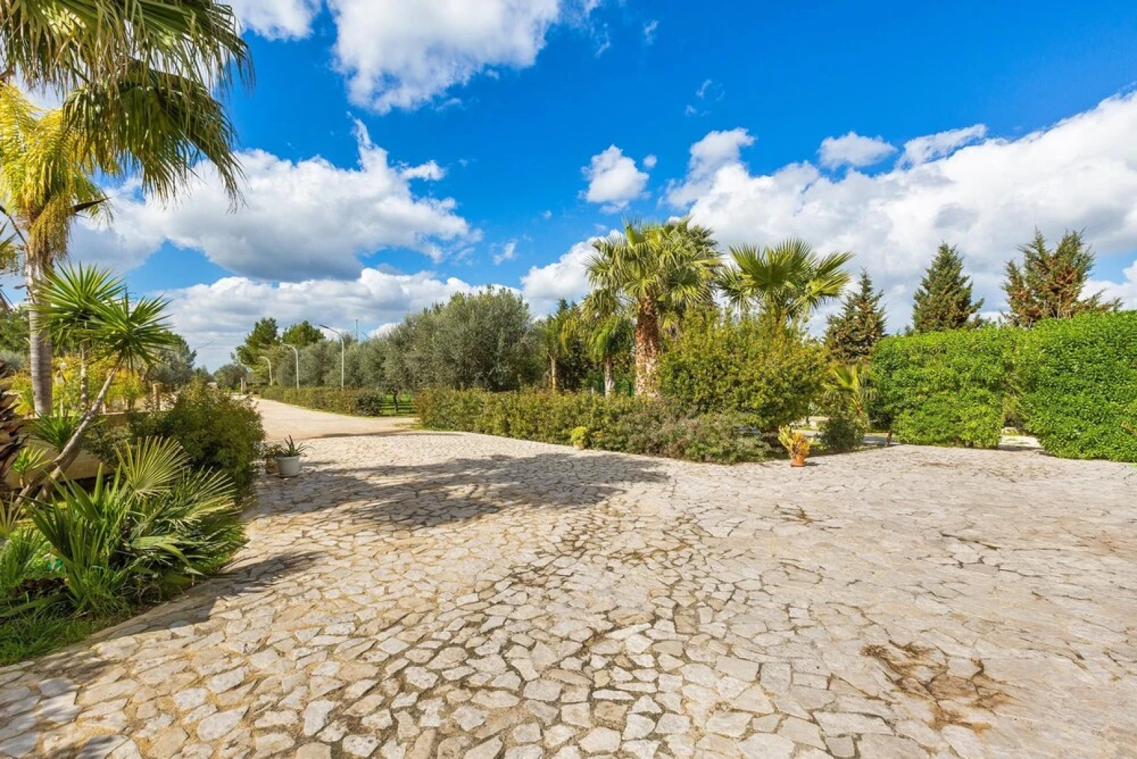 3220 Villa Smeralda by Barbarhouse